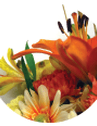 Leisa Parris Obituary